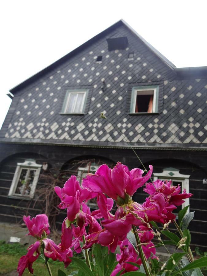 Prazdninovy Dum Nove Hrabeci Villa Sluknov Bagian luar foto